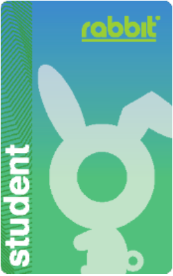 rabbit นักเรียน.png